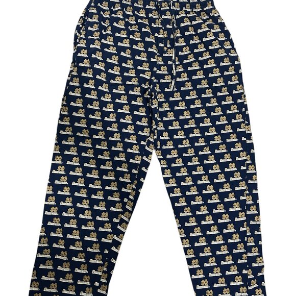 Notre Dame Fighting Irish Pants Size Medium ND Logo Drawstring - Picture 1 of 6